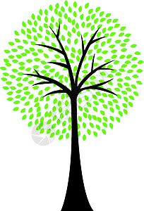 白色背景上被孤立的艺术树状光影植物学橡木森林绘画木头生长生态庆典插图美化背景图片