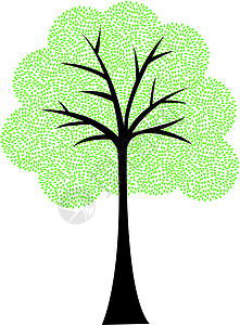 白色背景上被孤立的艺术树状光影森林热带植物叶子美化生态插图庆典橡木木头背景图片
