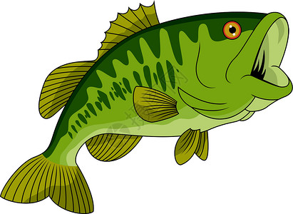 大嘴鱼巴斯鱼插图鳟鱼低音鲈鱼大嘴游泳乐趣海洋游戏食物插画