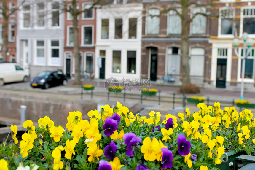 荷兰Gorinchem街头的鲜花财产遗产街道自行车旅游城市历史建筑旅行观光图片