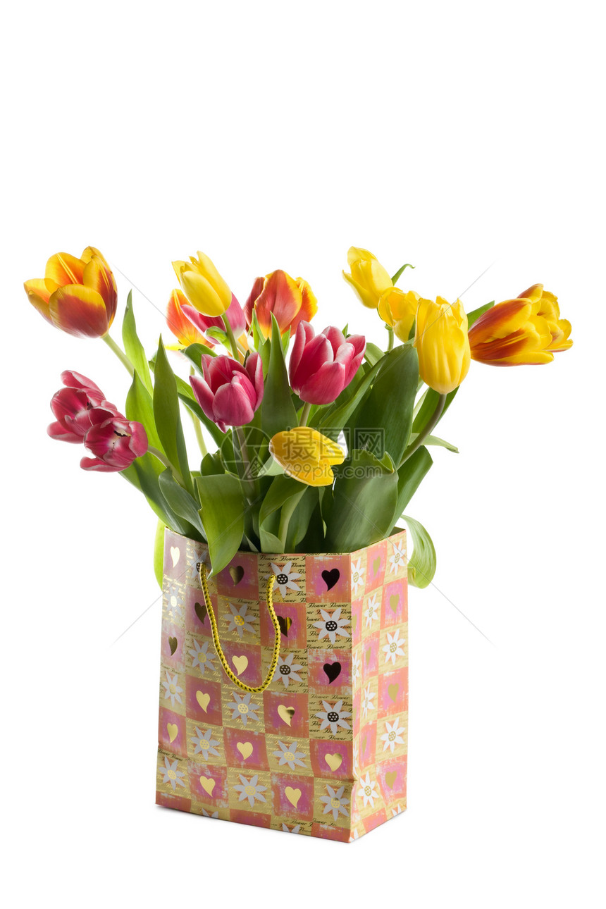 彩色全色郁金花叶子植被花束植物礼物生长花园植物群新鲜度郁金香图片
