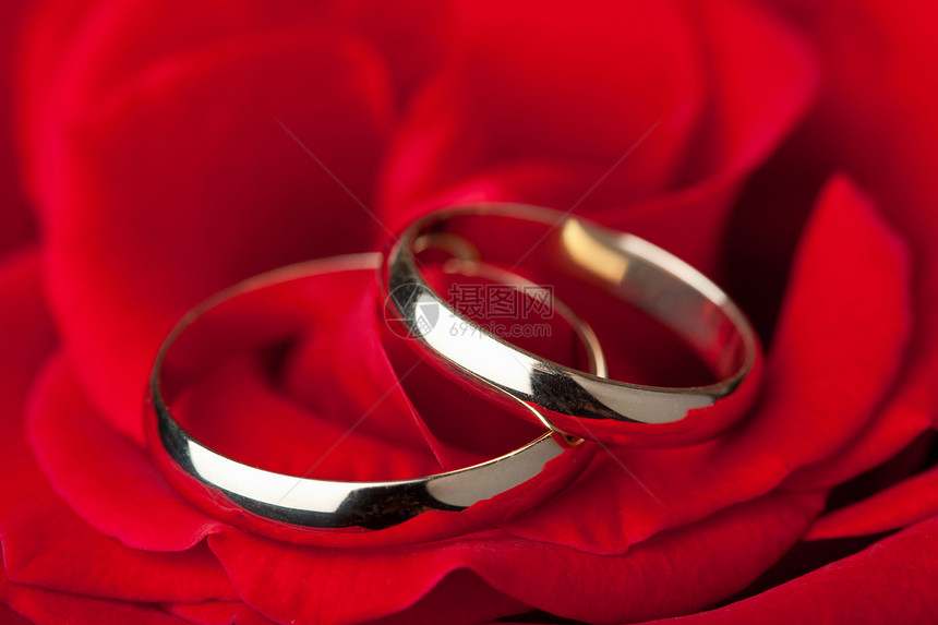 红玫瑰上的金结婚戒指教会纪念日首饰婚姻奢华花瓣庆典婚礼金子联盟图片