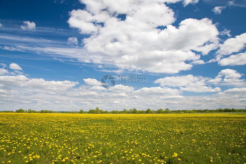 有云的蓝天和地表云景植物群季节天空生长场景草地雏菊土地环境图片
