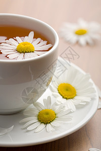 香草茶和甘菊花高清图片