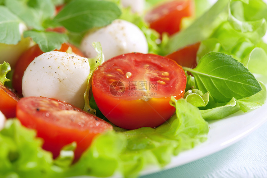 配有番茄沙拉和马扎里拉食物盘子宏观午餐餐厅沙拉桌子叶子饮食维生素图片