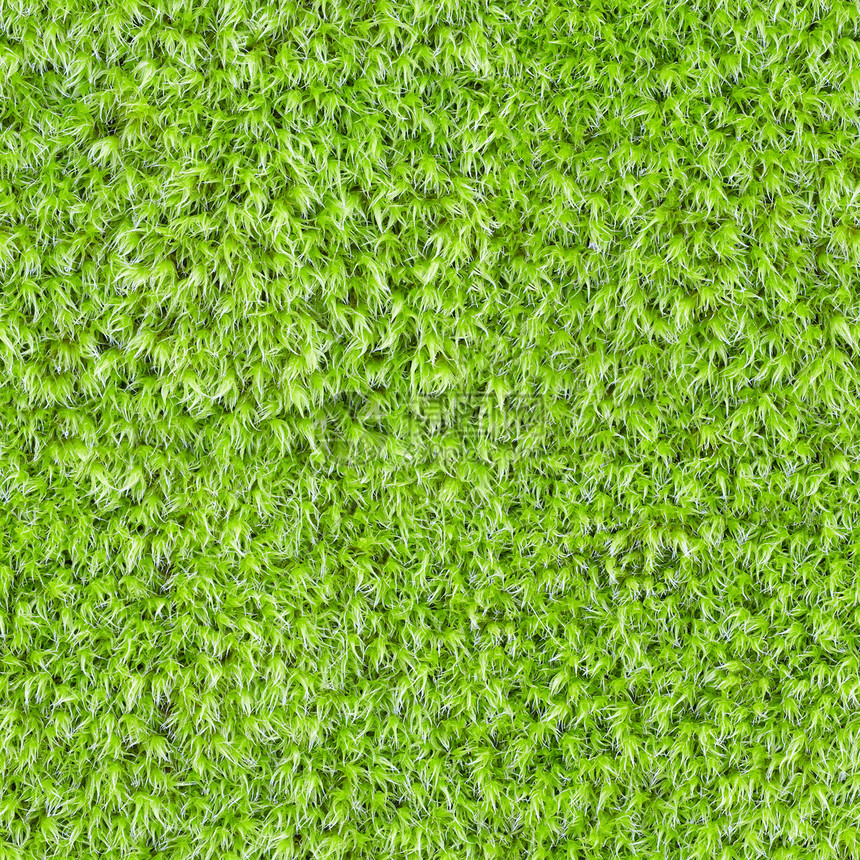 无缝平方纹理 - 绿苔图片