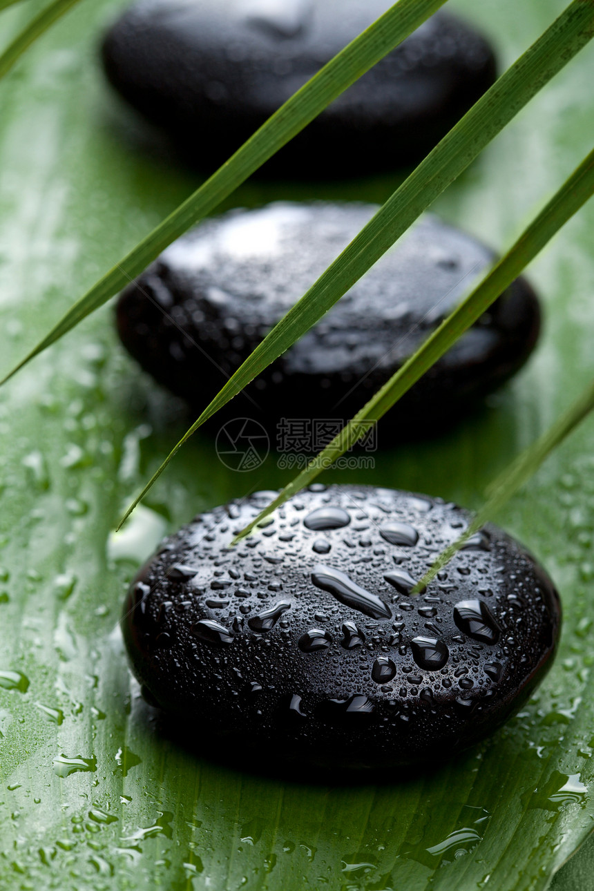 黑锅石和叶子温泉治疗绿色黑色棕榈岩石石头冥想药品水滴图片