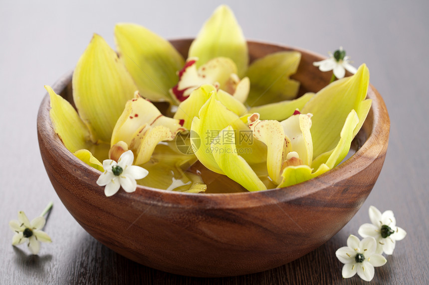 碗中的黄兰花雏菊花瓶风格装饰兰花治疗温泉绿色植物木头图片