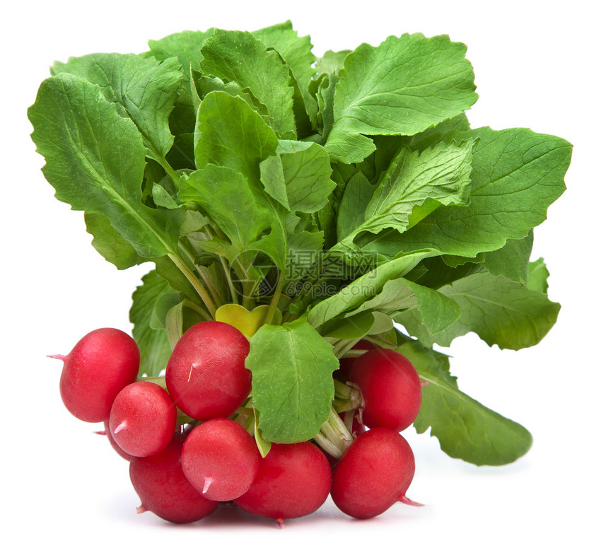 与世隔绝的新萝卜白色季节饮食季节性杂货店糖类红色绿色蔬菜烹饪图片