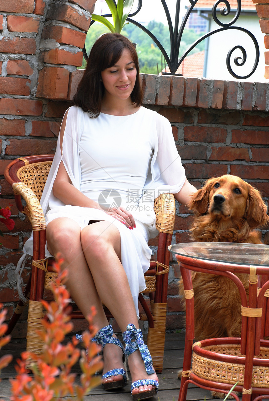年轻女人和一只狗快乐头发幸福猎犬椅子成人橙子微笑宠物女士图片