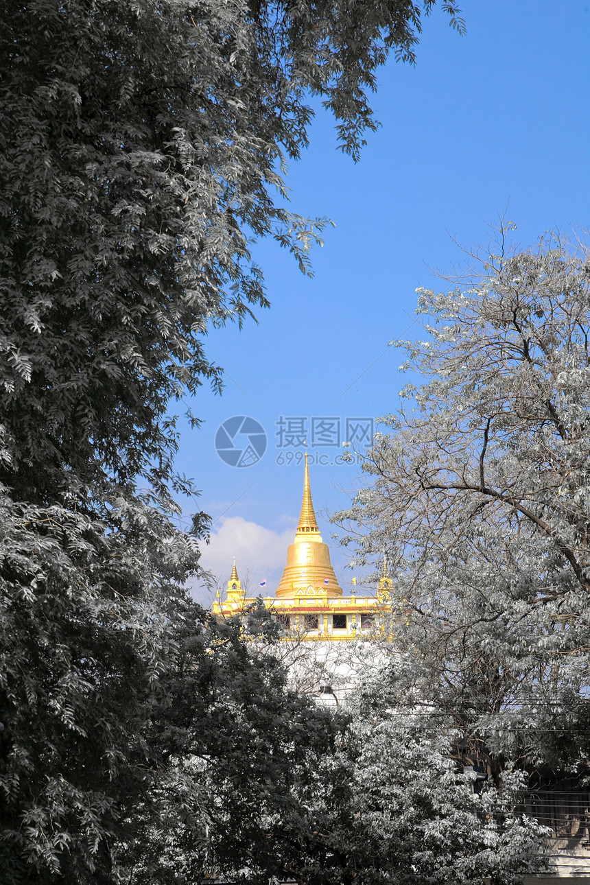 金金山宗教历史艺术建筑学寺庙奢华金子精神雕塑文化图片