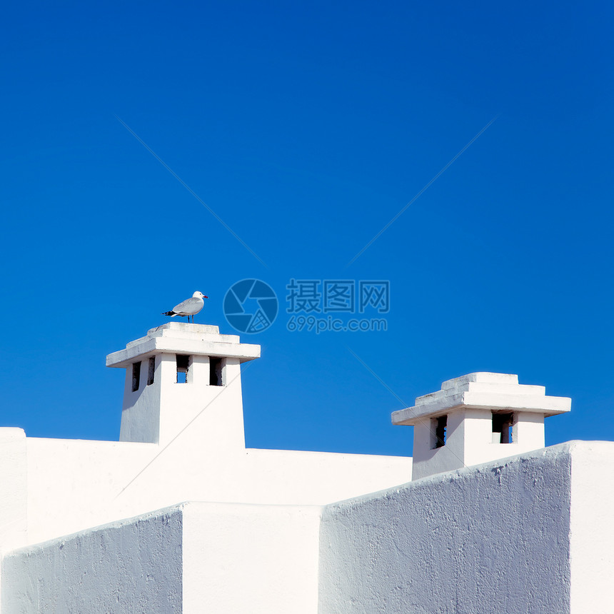 Balearic 带海鸥的地中海白房子旅游娱乐海岸建筑海滩财产假期蓝色建筑学天空图片