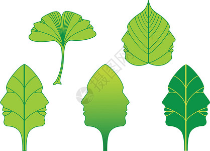 绿色树叶 有面 矢量组合背景图片