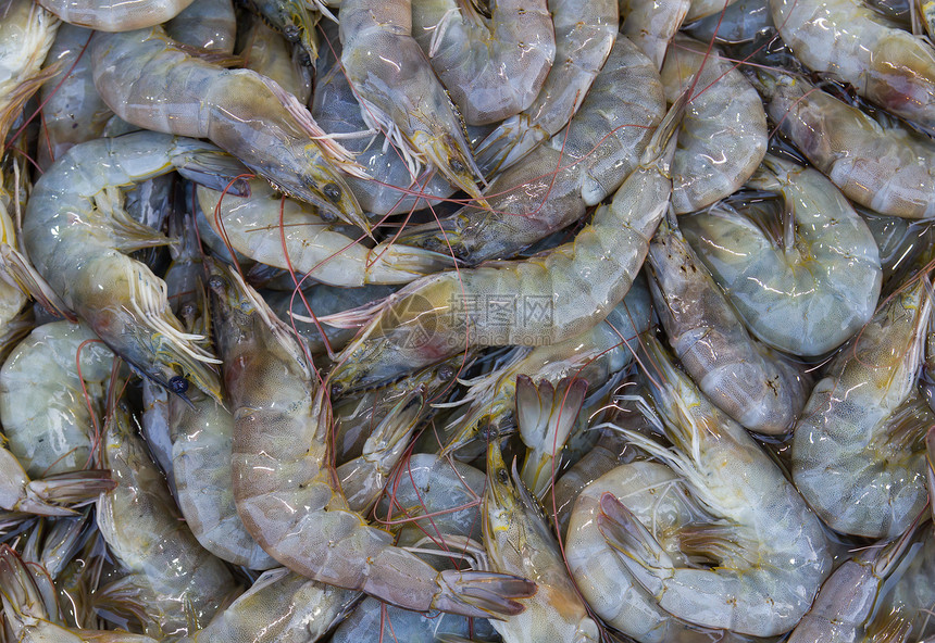 新鲜虾虾茶点午餐饮食海洋贝类托盘贝壳海鲜库存市场图片