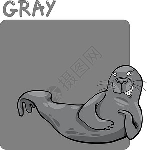 跳跃海豹颜色灰色和密封卡通插画