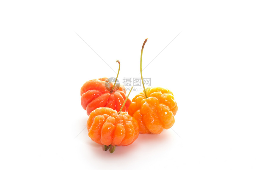 磷酸种子植被甜点农业橙子水果红色植物食物醋栗图片