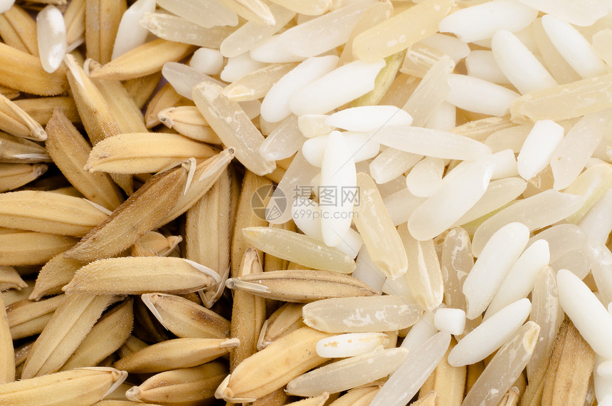紧闭泰国米稻种子和混合谷物图片