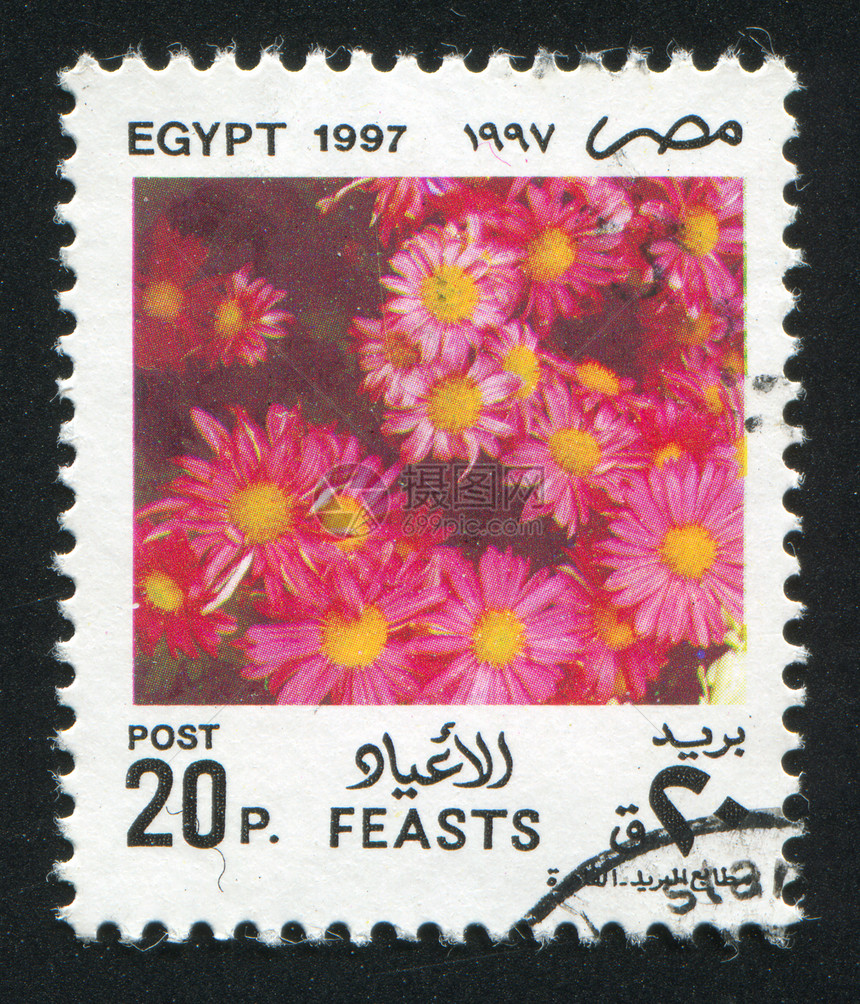 鲜花花束香气植物群植物学香味邮戳信封灯丝植物邮资图片