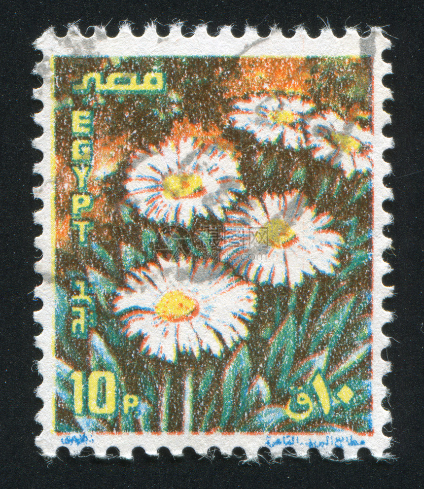 喀麦隆植物学叶子邮票植物群邮资古董海豹花束香味明信片图片