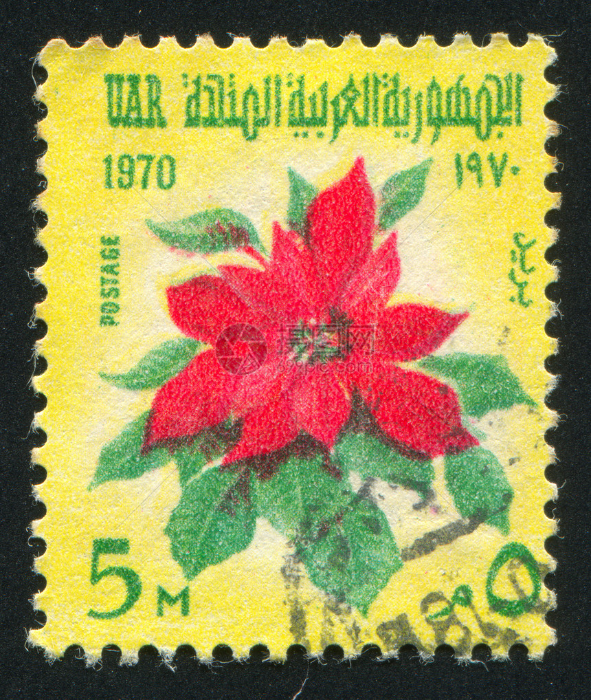 鲜花植物群植物学邮资叶子集邮古董历史性香味信封邮票图片