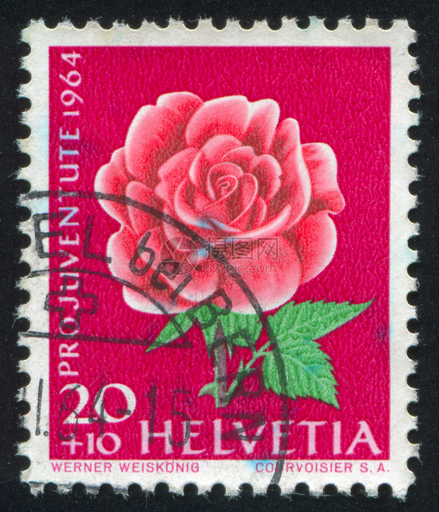 花玫瑰植物群海豹古董邮资明信片蔷薇集邮邮件花瓣植物学图片