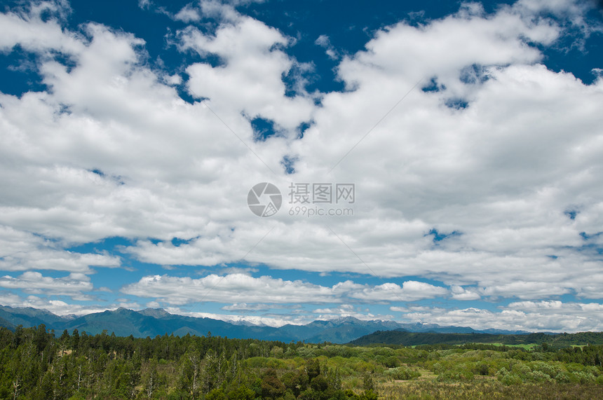 在荒野上方的云层天空植物生态灌木木头叶子场景山脉旅行野生动物衬套图片