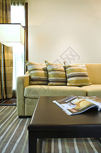 豪华客厅座位面积奢华地毯木头房间财产沙发装饰桌子风格建筑学背景图片