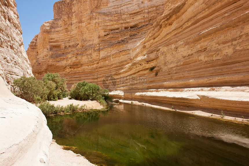 沙漠中的绿洲旅游远足天空地面石头数据反射内盖夫溪流池塘图片
