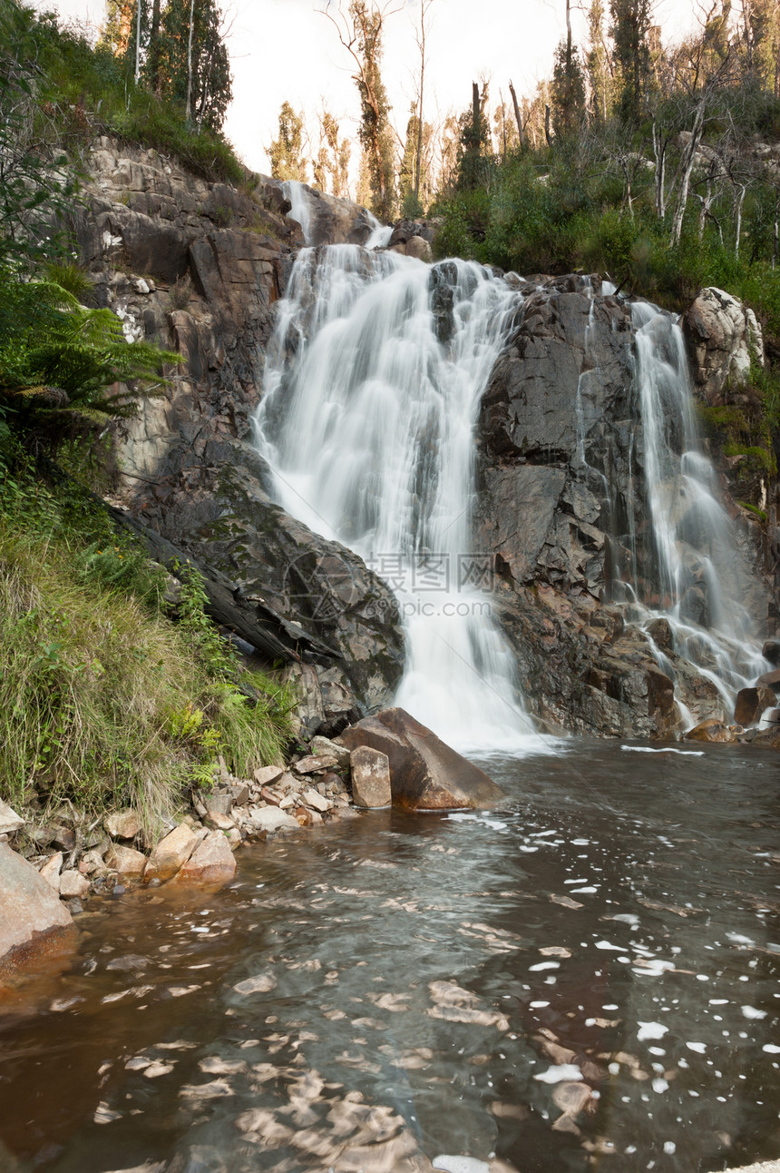 墨尔本附近的亚拉谷的史蒂文森瀑布植物运动溪流绿色风景岩石树木植被水平图片