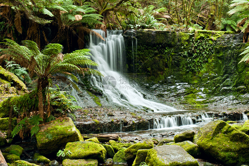 马蹄瀑布 塔斯马尼亚山田国家公园风景植物溪流植被岩石瀑布绿色运动图片