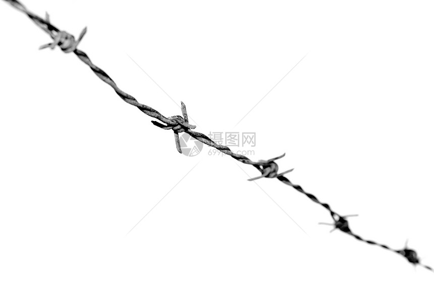 Barb 电线铁丝网危险金属栅栏陷阱图片