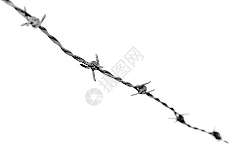 Barb 电线铁丝网危险金属栅栏陷阱背景图片