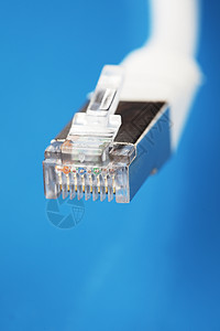 猫连接器局域网蓝色电缆白色类别数据背景图片