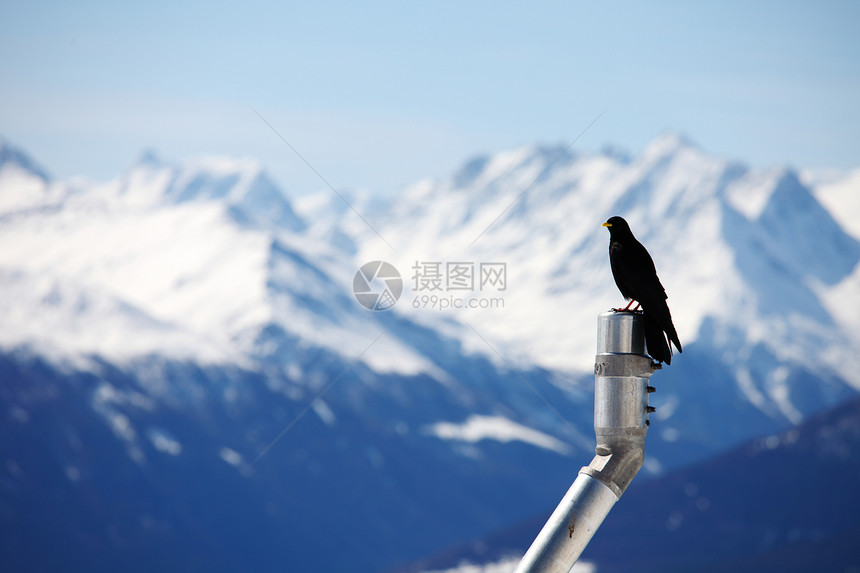 群山鸟天空顶峰运动冻结滑雪旅行小路荒野高山季节图片