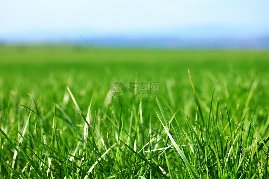 绿绿草天气射线蓝色土地农业植物阳光场地远景地平线图片