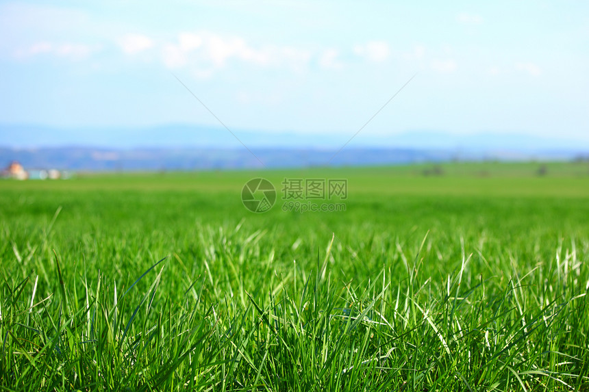 绿绿草蓝色场景地平线环境草地植物季节射线农场远景图片