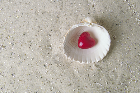 贝壳中的心脏背景图片
