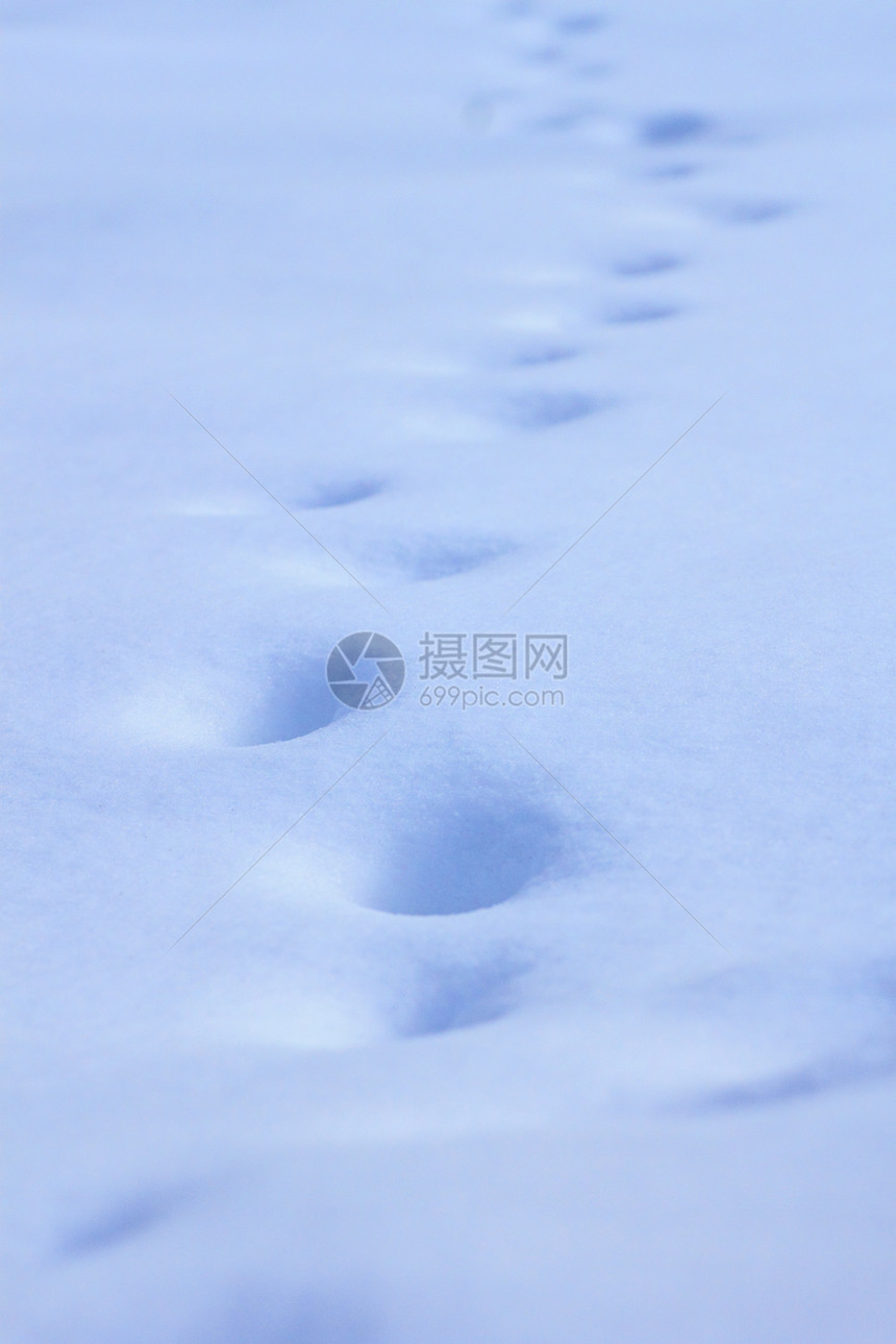 雪雪田自然白色季节场地地平线图片