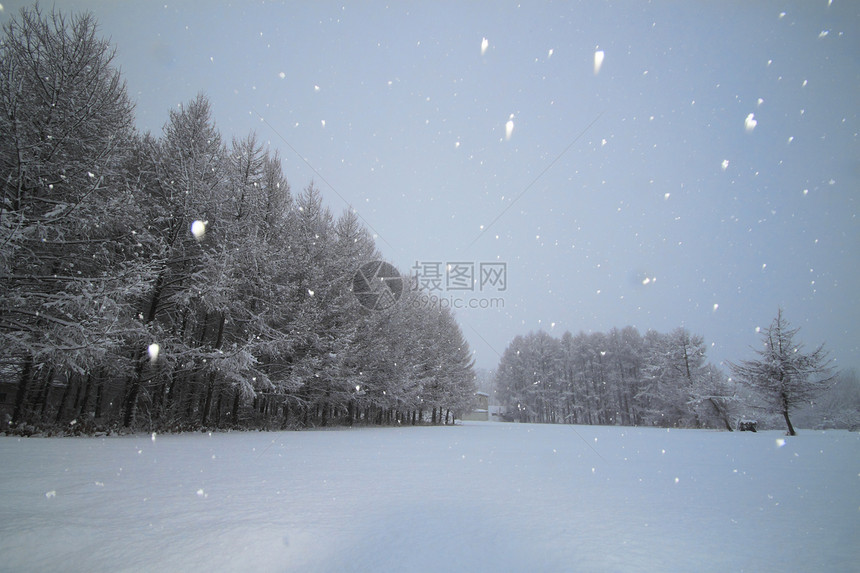 雪雪田乡村季节水平白色图片