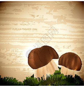 朱塞佩蘑菇糖插画