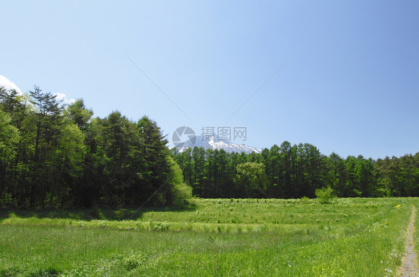 伊瓦特山和蓝天木头蓝色绿色森林天空季节图片