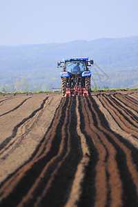 东北农田字段中的拖拉器油菜籽风景农田芸苔机器场地农业植物机械农场背景