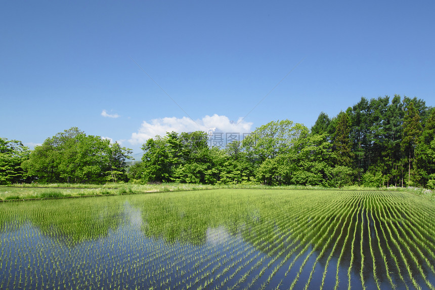 伊瓦特山和牧区景观蓝天蓝色村庄农场国家田园绿色天空场地图片