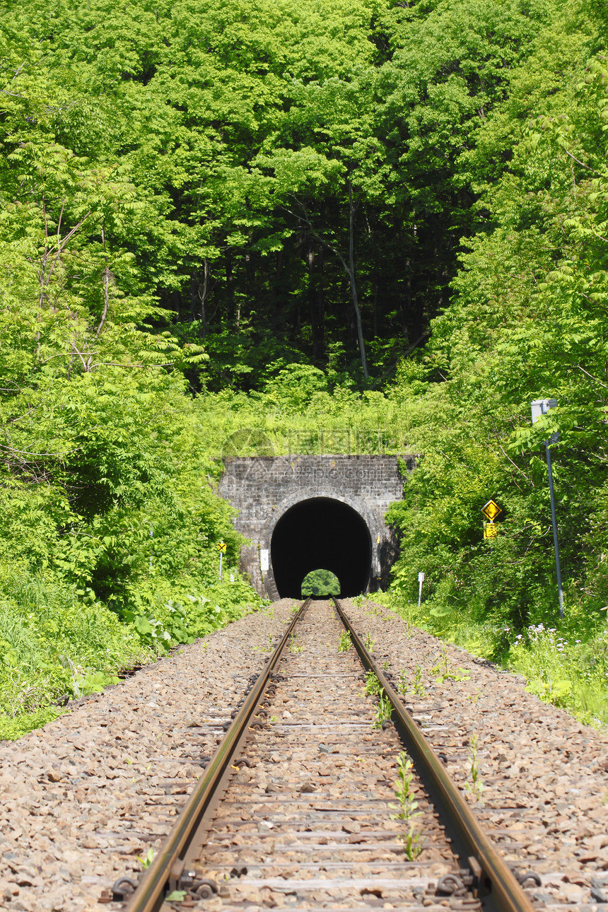 隧道和新绿色图片