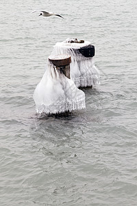 水上不许动水晶冷冻风景浮桥冰柱温度季节性湖滨季节白色背景