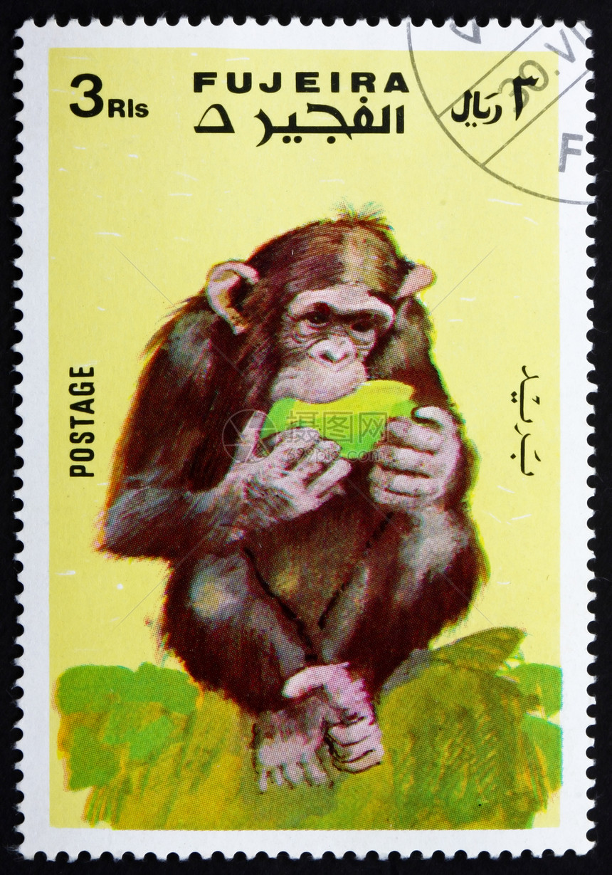 1972年Fujeira邮票哺乳动物动物动物群集邮船运办公室半岛古董邮件荒野图片