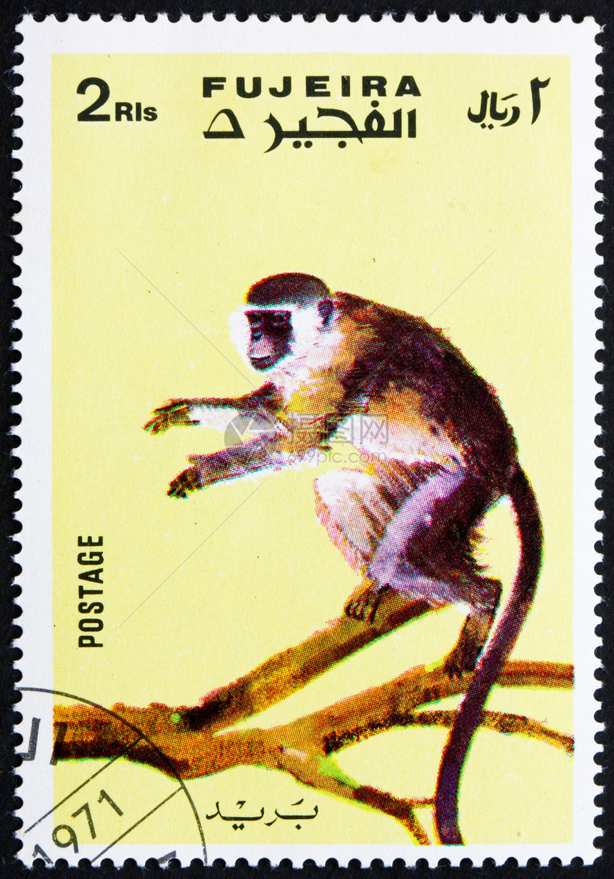 1972年Fujeira邮票集邮邮资荒野半岛动物古董办公室邮戳邮政船运图片