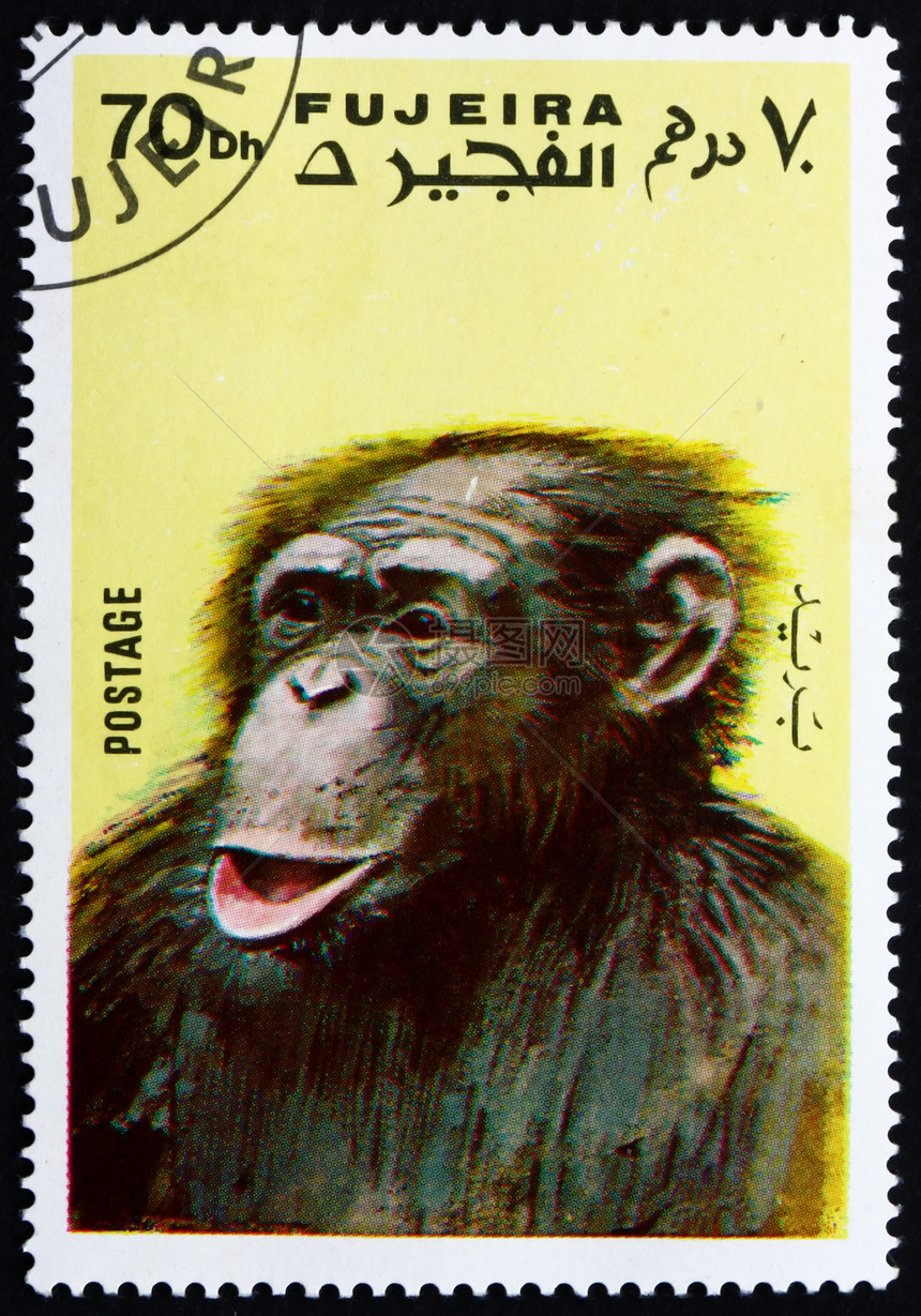 1972年Fujeira邮票荒野船运办公室集邮灵长类邮政野生动物哺乳动物服务邮资图片