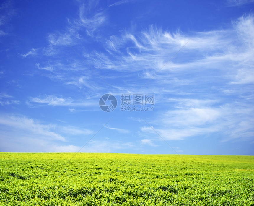 字段农场牧场农业土地场地地平线天空阳光草地天气图片