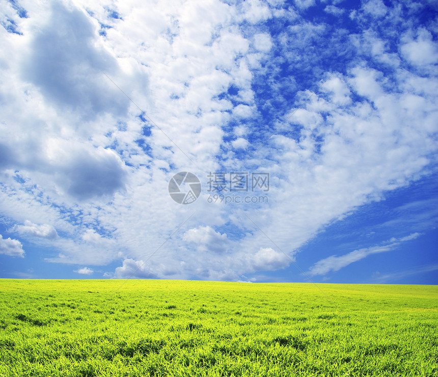 字段草地风景地平线全景植物农业天空土地阳光乡村图片